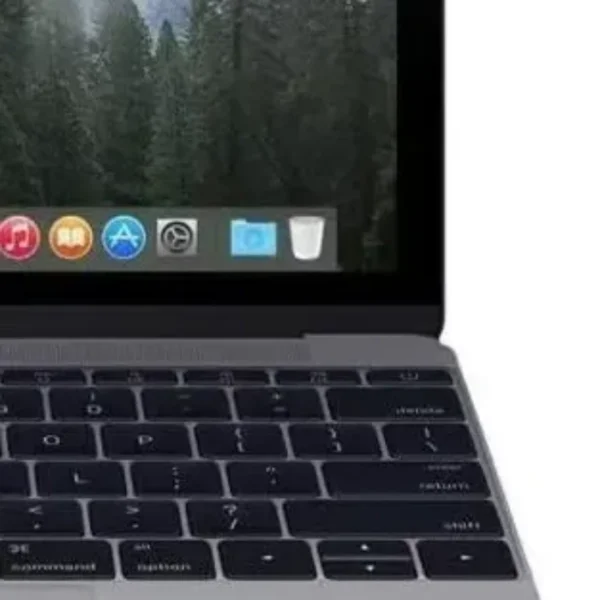 Apple MacBook 12-inch Core m3 1.2 GHz Space Grey Retina 2017 11